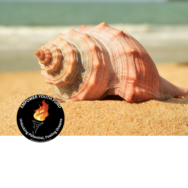 Conch in Sand